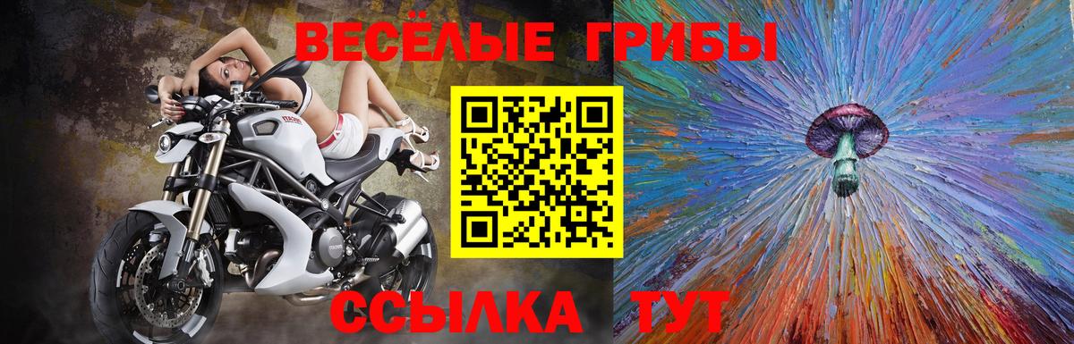 Псилоцибиновые грибы GOLDEN TEACHER  Псилоцибиновые грибы Magic Shrooms  Вход с VPN  купить наркотики цена  Нягань 