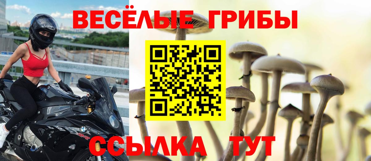 Псилоцибиновые грибы прущие грибы Нягань